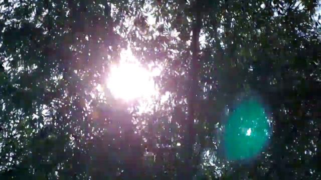 Гадюка на рыбалке.