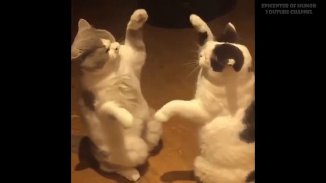 Мелодии электроорган