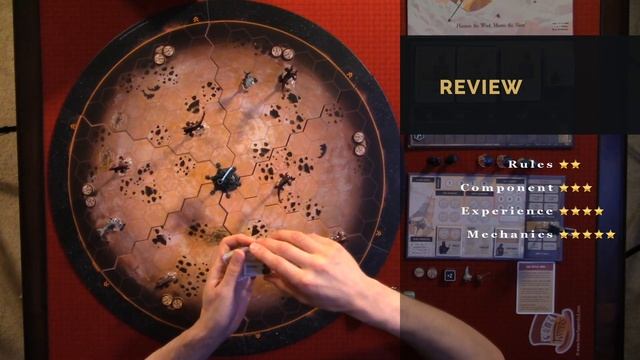 Windward Review - Playmonster