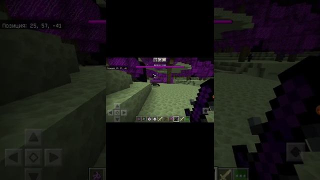 Я создал мод на энд в майнкрафте