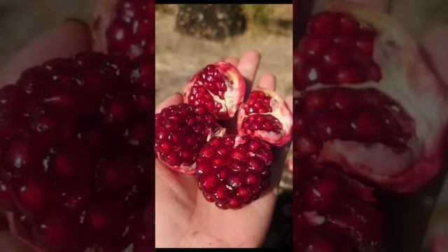 руки матери это волшебство #детский #happy #подписываетесь