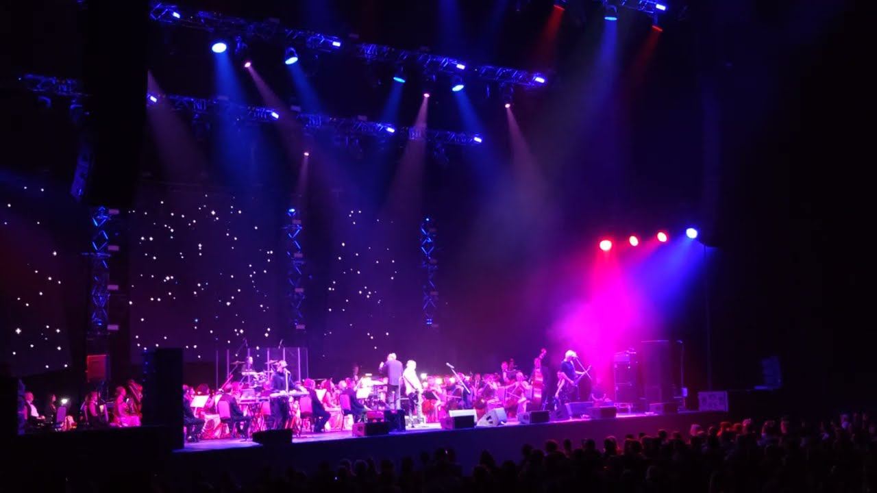 Пикник с оркестром - Танго «Черная каракатица» 01.06.2024 г. Москва