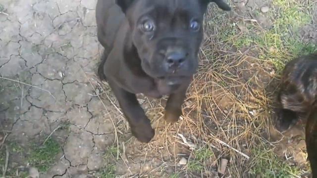 0338ca8f8f9880d1a0b12436030549ba