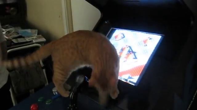 Acab39149fc18fb2f5ca1adfc947cd07