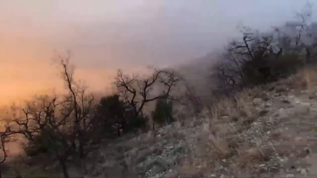 507238dc099b24c0d88d2091246f3623