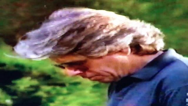 Knots Landing- The Best Of Greg And Paige - Playing Games