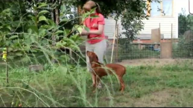 Дайме 4 месяца