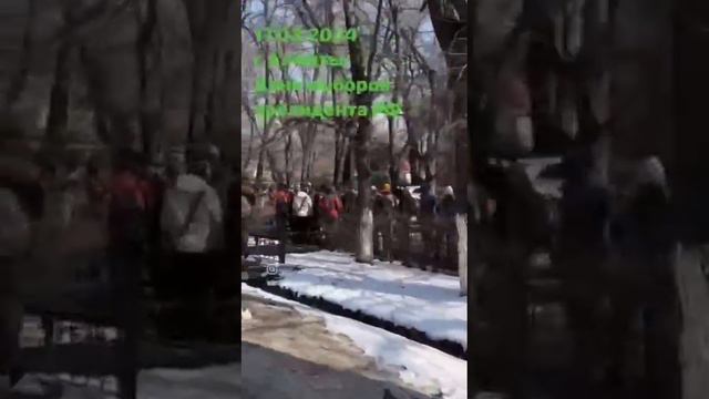 Вот так у нас голосовали за Путина