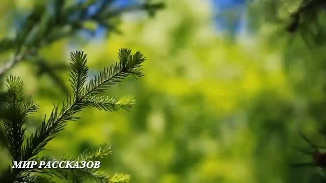 Воидя в квартиру сын подслушал разговор роднои мамы и обомлел...