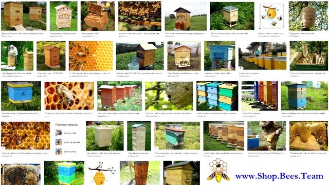 Кашковский об ульях