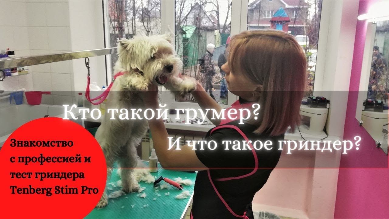 Кто такой грумер и что такое гриндер для собак? (Знакомство с профессией и тест когтеточки)