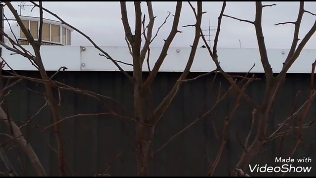 6ebe60fb76fbe9b29c1272e1c2705cde