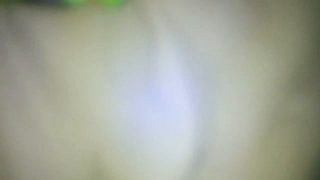 5c7022d436596f7ac5249f1f36d833e2