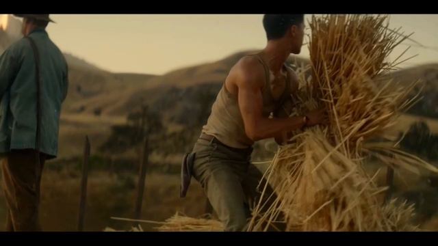 Dee6857e14294a69c4ce18b0383a6595