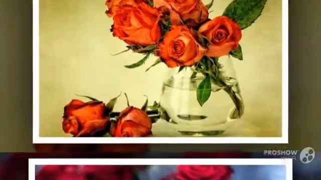 Интернет-магазин доставки цветов AMF -лучший сервис заказа цветов с доставкой