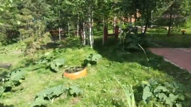 Усадьба в Горном Алтае 