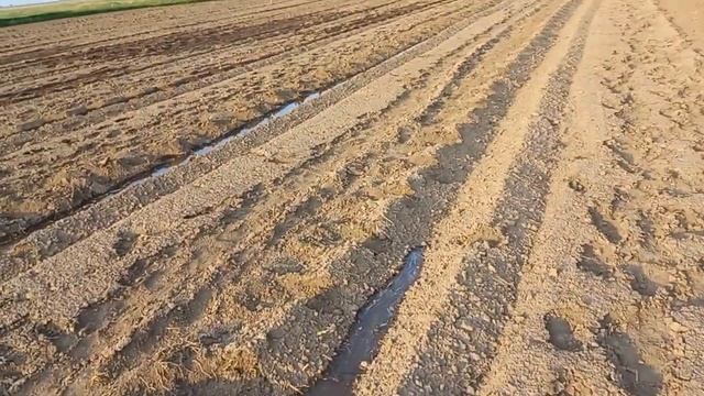 КУБАН БАЙКЕНИН  ДОЛГОИГРАЮЩИЙ МАЛИНА КӨЧӨТТӨРҮН ИЙГИЛИКТҮҮ ТИГИП АЛДЫК.