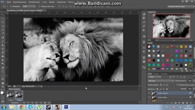 Стерео 3D анимация