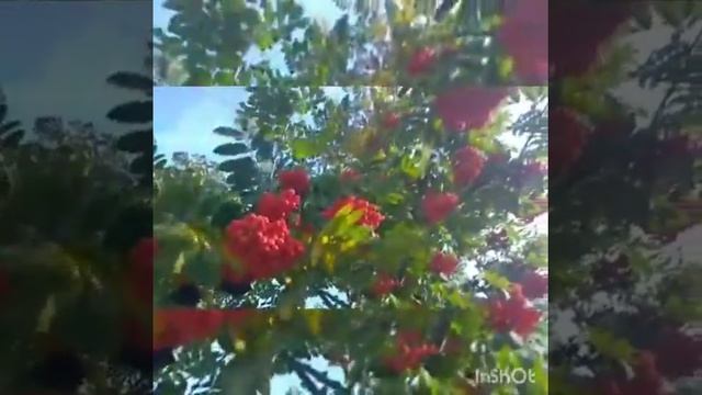 E132ce2b490c4422490ae83165ccea33