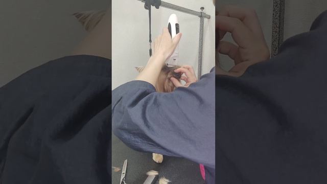 1623713ec924183d5dfef00162685519