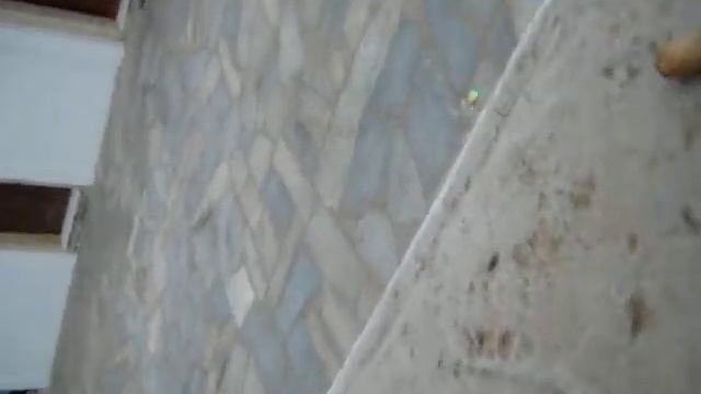 31a2b803da89fb472b1313a6bc440b7c