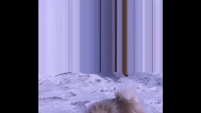 67628f91974c33a4495dabb385a62bcf