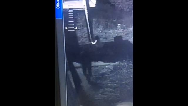 В Нижнекамске камера видеонаблюдения сняла момент дерзкого ограбления