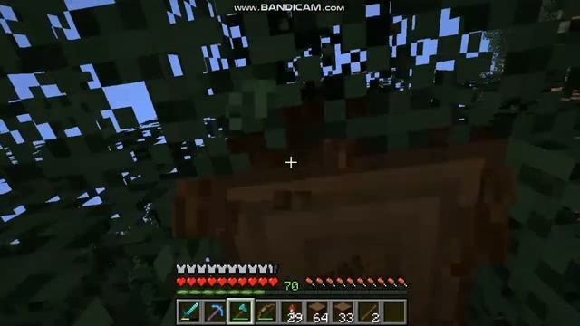 0919b58e9056c2590cece3a157de99bf