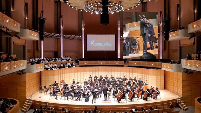 Sarasate: Zigeunerweisen | Allen Lee - VYSO