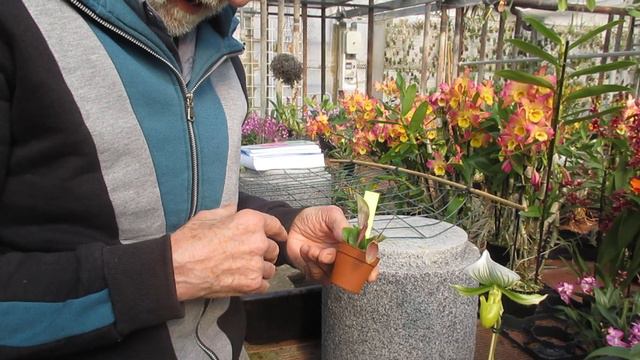 4ad6907fdb8cf05e22a1746293478f9a