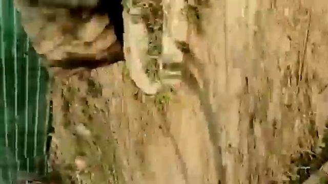 237ac5185245e5c8324db6f3b3d149f7