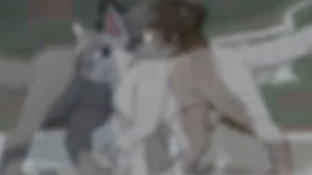 0907215519f34f927a25e9d39953a4bf