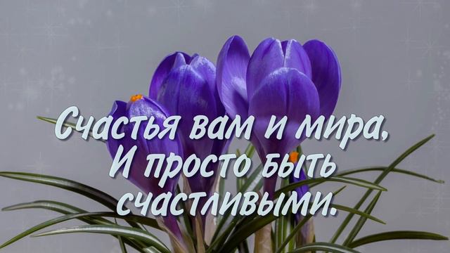 С Днем женского счастья!💖Красивое видео поздравление в День женского счастья 2024!