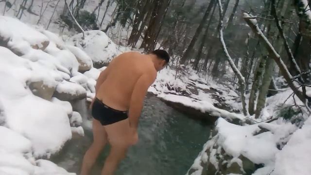 Лесная купель 2018