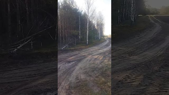 97016612bb0e59b8516282a4f9d2ca2c