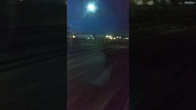 Проезжаем грузовое депо Рязани.