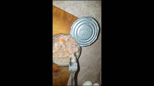 Как выжить на 100 ку. Ужин с макаронами в омлете с зеленью и пирожки с щавелем