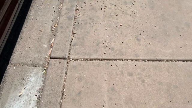 2012 Honda Odyssey Walk Around