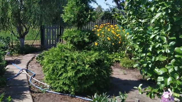 #Обзор#соседнего#огородика.