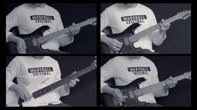 Gleb Custom №88. Педаль эффектов с гитарой и басом.