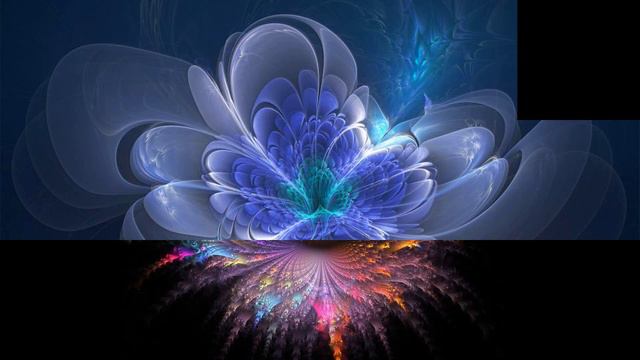 Didier Marouani & SPACE. 