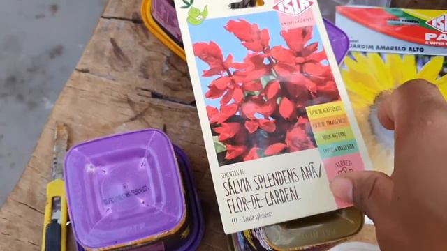 COMO CULTIVAR PETÚNIAS A PARTIR DE SEMENTES NO SEU JARDIM