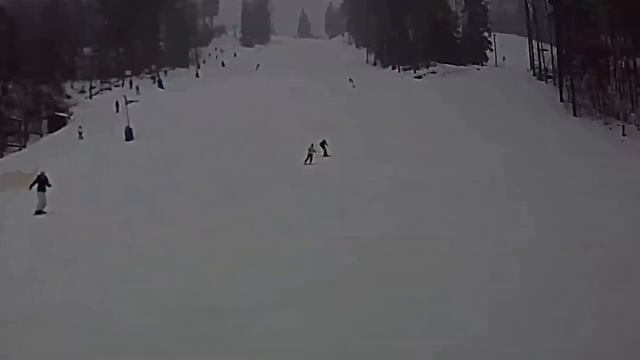 горные лыжи коробицыно