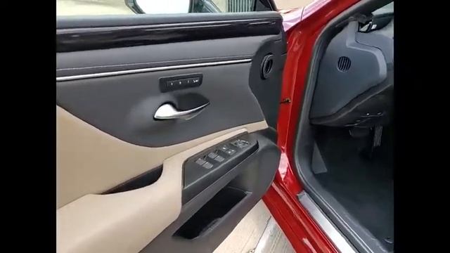 2021 Lexus ES 250  Schaumburg IL 210920