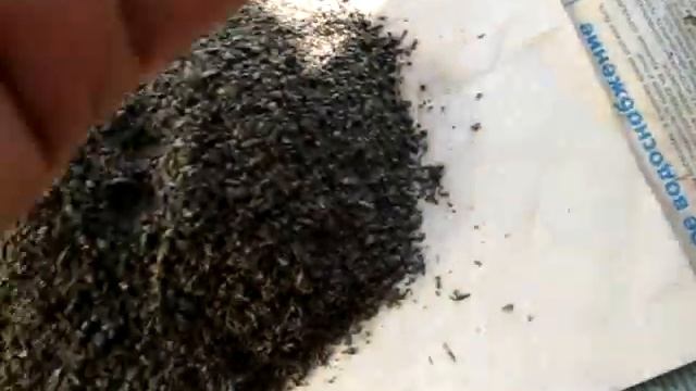 Отсев с магнитного трала 