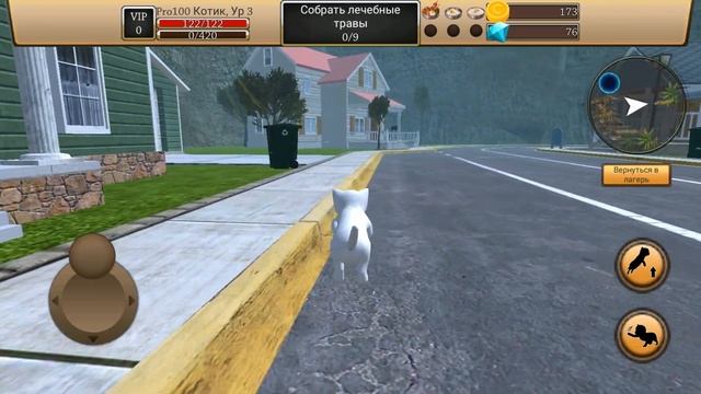 Симулятор Кота Жизнь Животных Новая игра с Приключениями и Заданиями, Семьёй и Врагами обзор #1