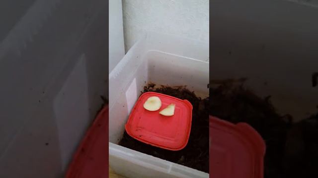 64c4dc617987ba7358c0923f8c3437e6