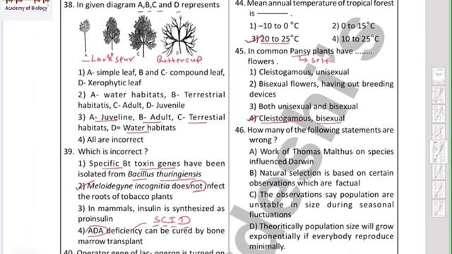 NEET Prelim Explanation