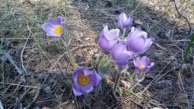 Be5775961dfb3cc81b903445e6597066