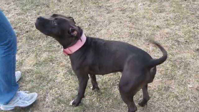 Ef759a0b696a47283b7b703adb57f556